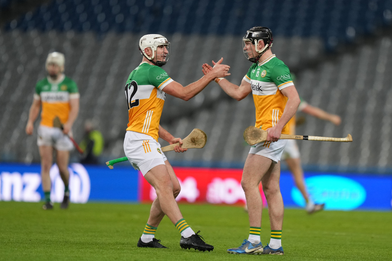 Offaly hurlers and Wexford footballers clinch league promotion