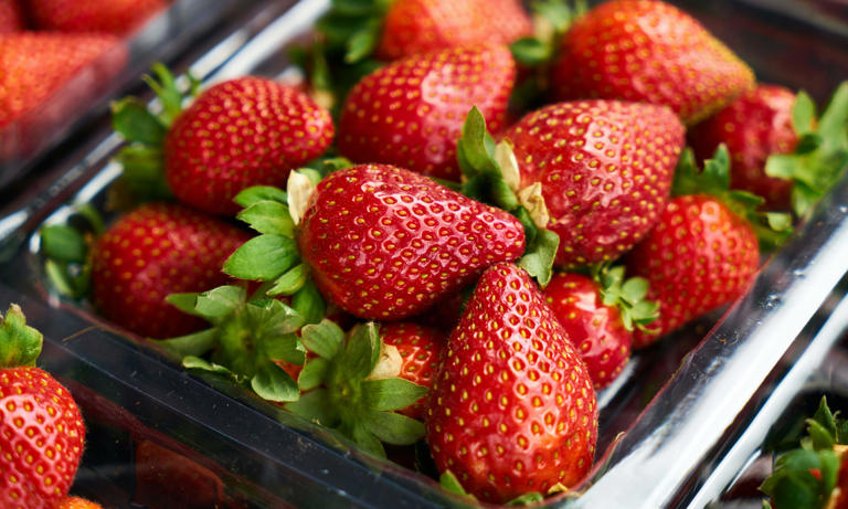 8 food groups that may help prevent cancer