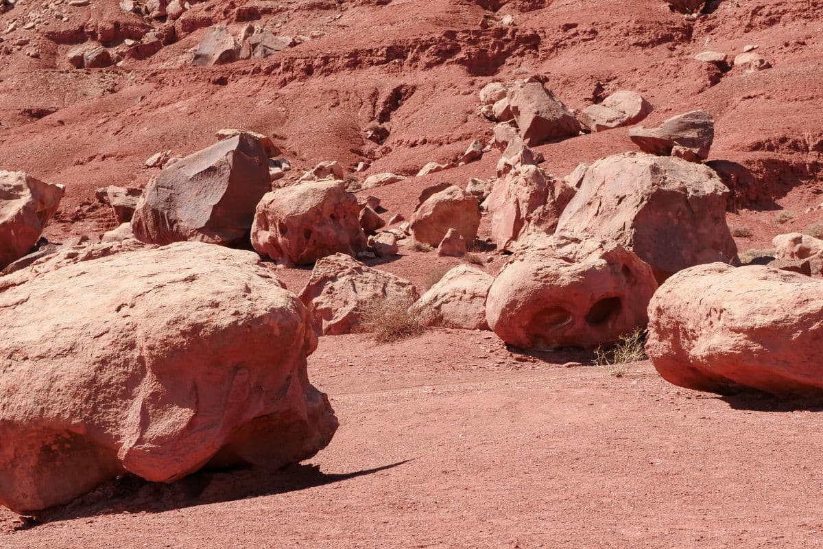 “They’re Enigmas”, NASA’s Rover Discovers Bizarre Martian Rocks That ...