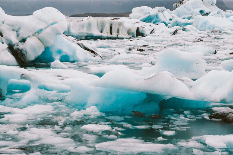 Ancient Trees Frozen For 6,000 Years Emerge From Ice | The Daily Galaxy --Great Discoveries Channel