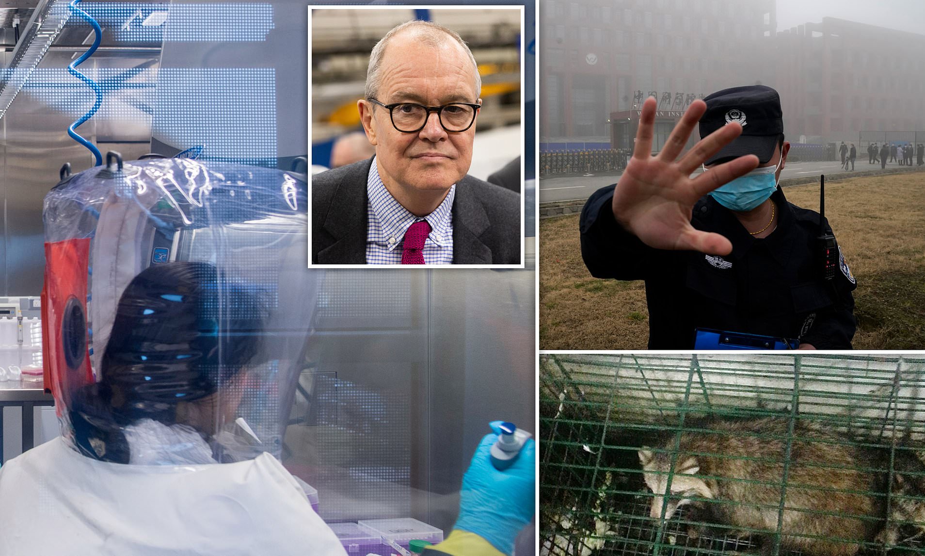 What did the UK's top scientist know of China lab leak theory?