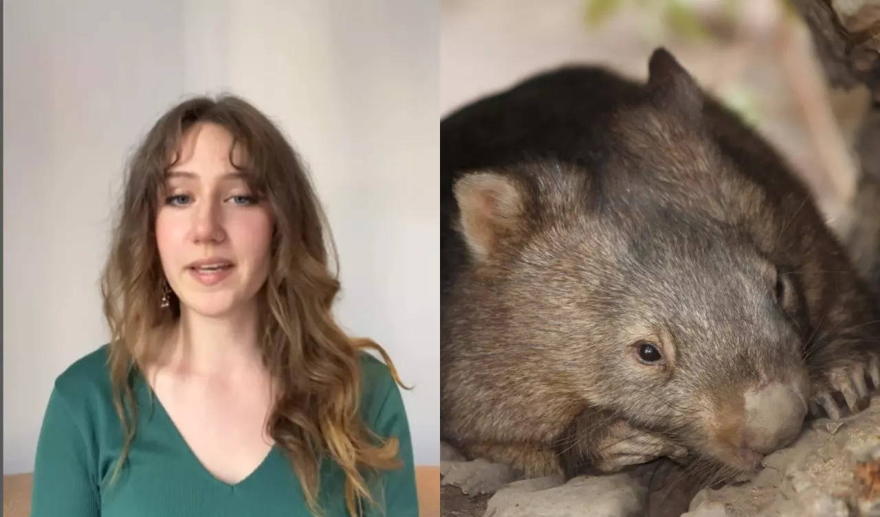 US influencer, who snatched baby wombat in Australia issues apology
