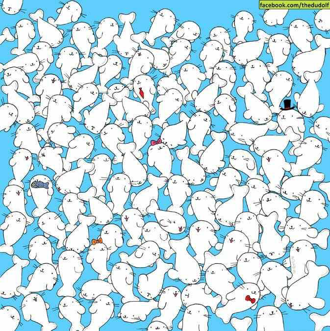 picture-puzzle-iq-test-do-you-have-an-eye-for-detail-spot-the