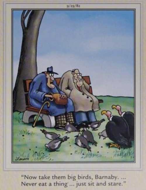 Two men feed birds