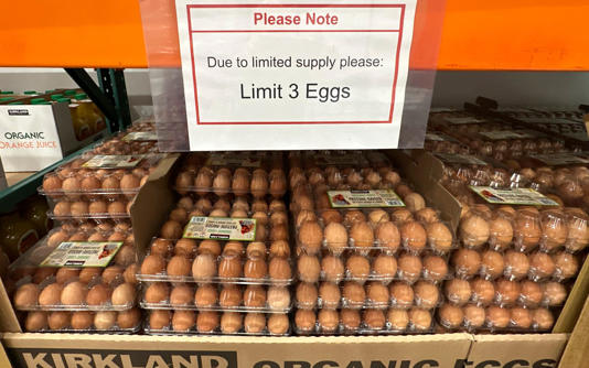 Eggs on shelf with sign about supply limits amid shortage in US