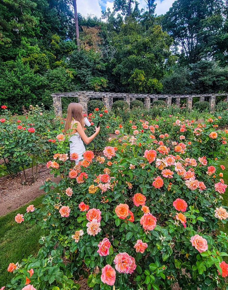 Best things to do in Raleigh this weekend + (Oct 12 – Oct 18, 2026)