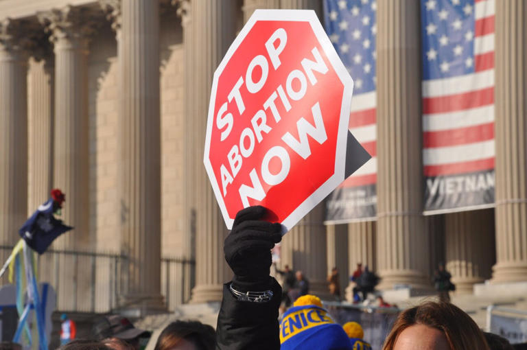 What does 'pro-life' mean? There's no one answer, even for advocacy ...