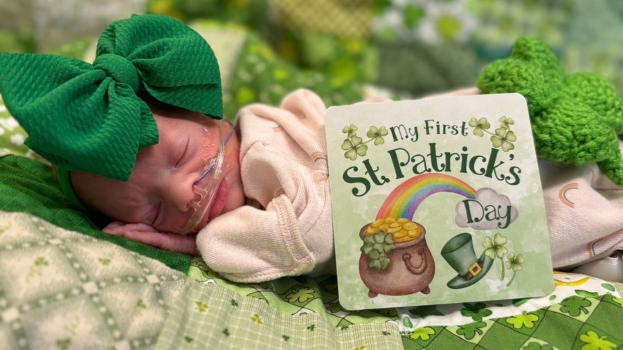 celebrates st patrick day