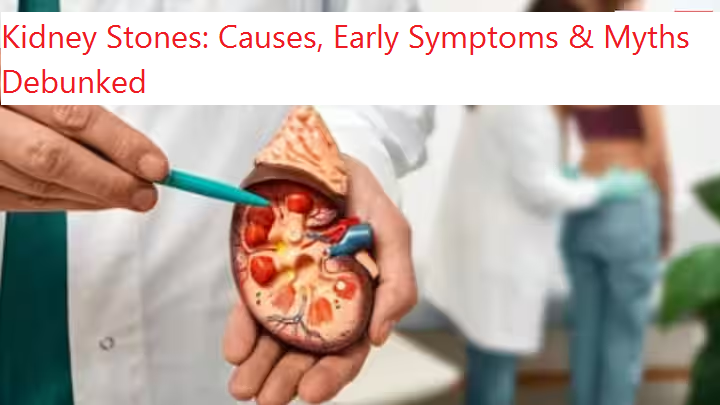Kidney Stones: Causes, Early Symptoms & Myths Debunked