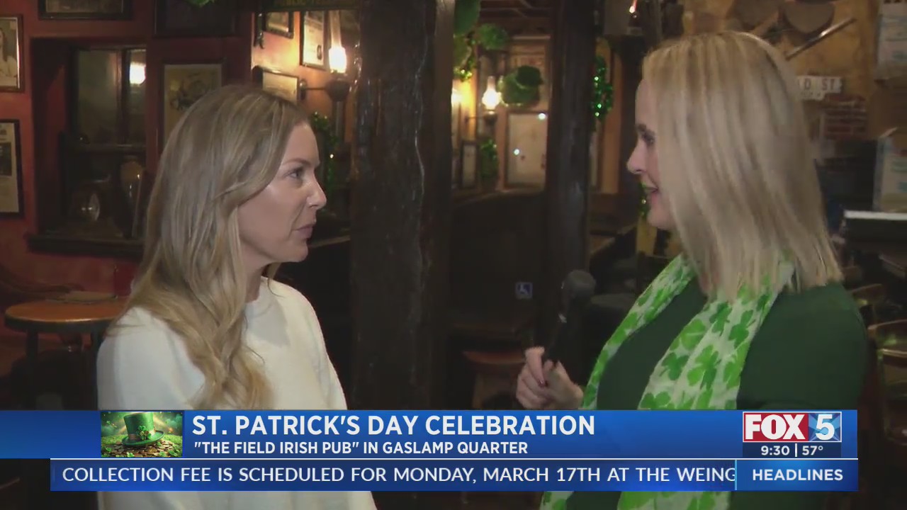 st patricks day bird