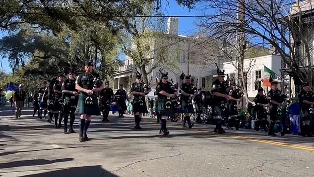 st patricks day bird