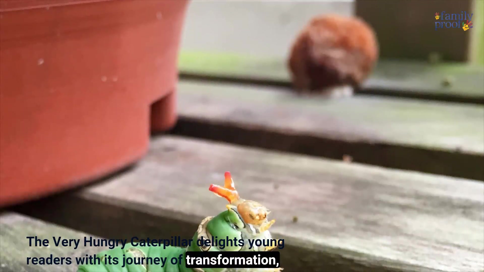 10-best-baby-books-for-new-parents