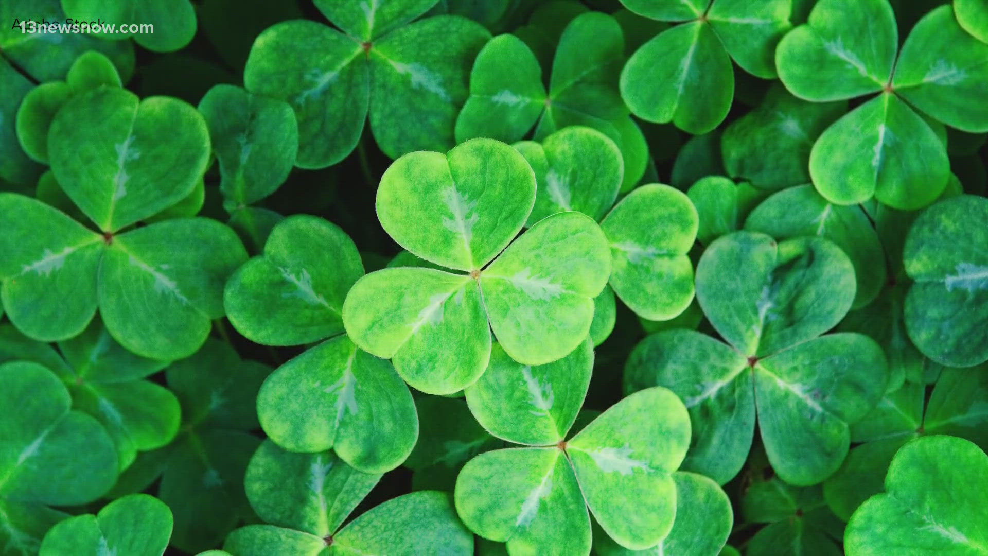 what is st paddys day in canada