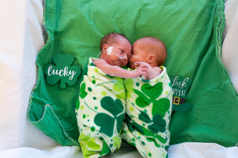 celebrates st patrick day