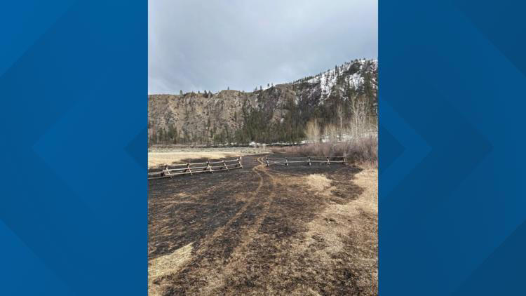 Abandoned campfire sparks small blaze near Salmon River