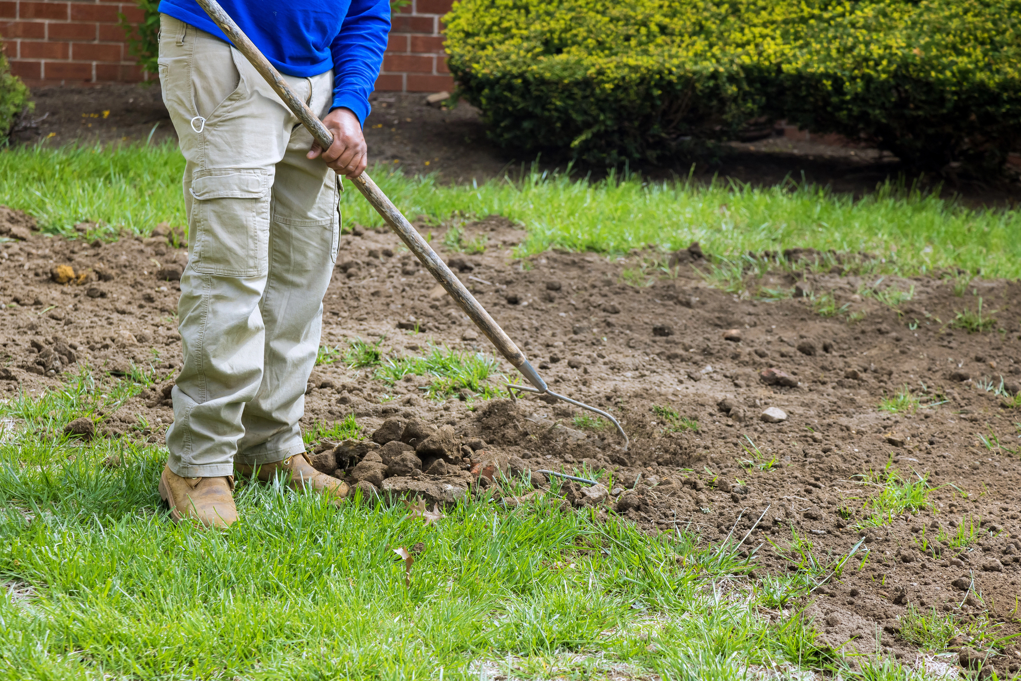 How to prepare your lawn for spring rain: Drainage, soil health, and more