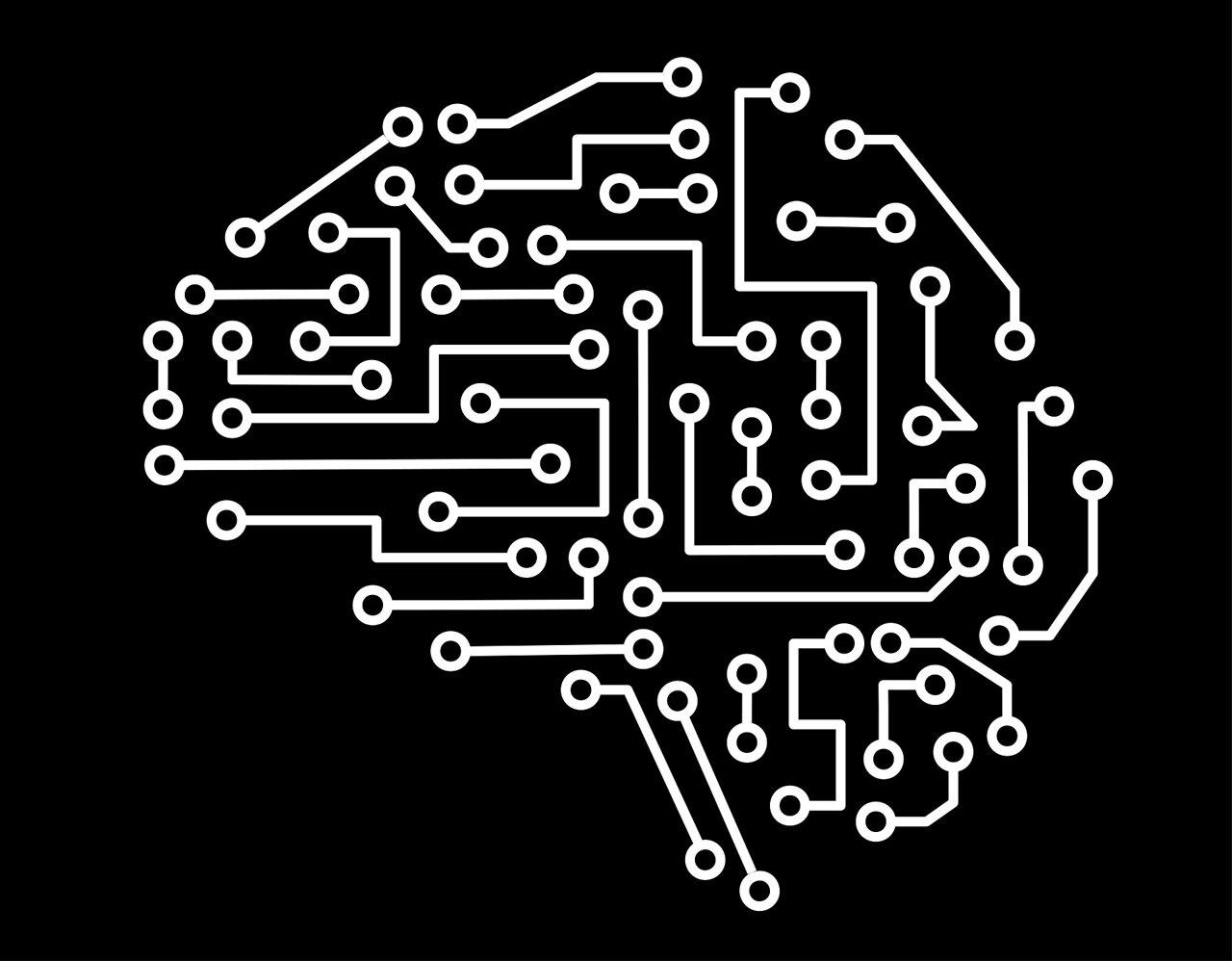 New AI tool visualizes a cell's 'social network' to help treat cancer