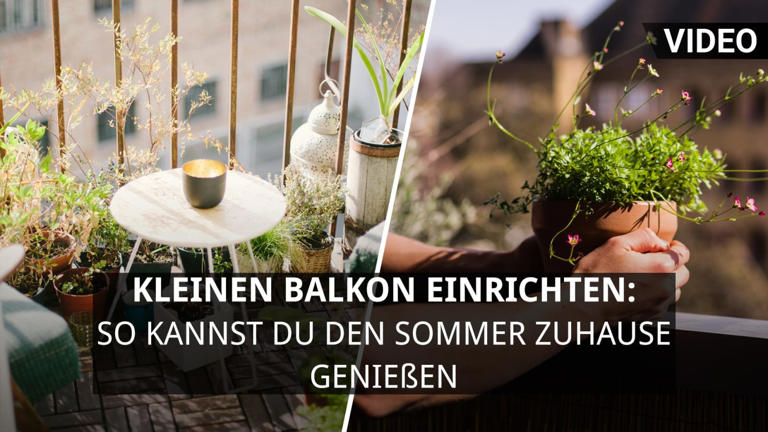 Was kann ich im März auf dem Balkon pflanzen? 10 Kräuter und Pflanzen