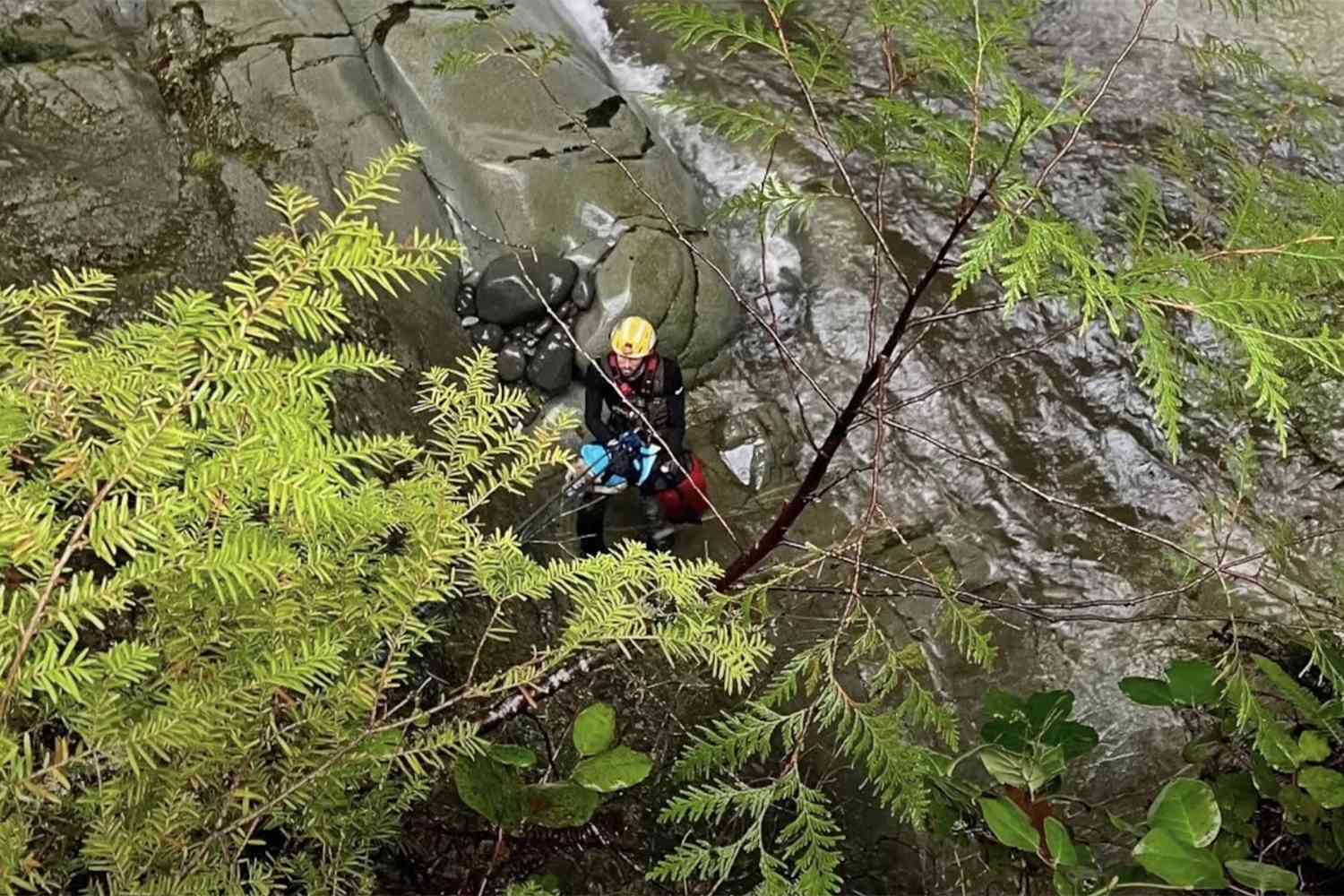 28YearOld Woman and Her Dog 'Swept Away' After Slipping into