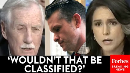 Sen. Angus King Grills Tulsi Gabbard About What Pete Hegseth Allegedly