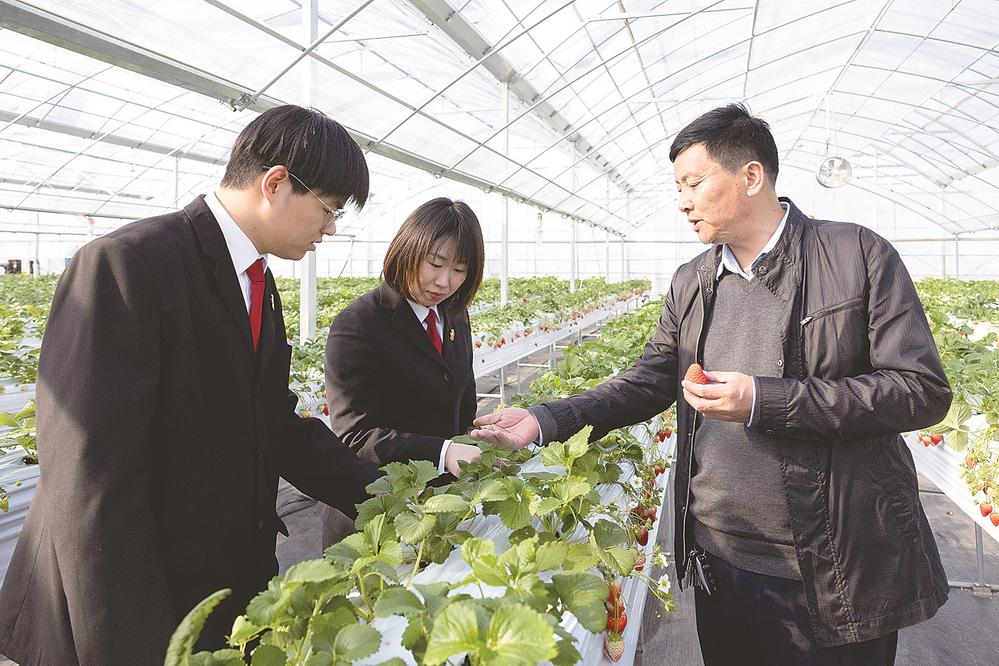 ��ݮ����ʱ�ⷨ�����