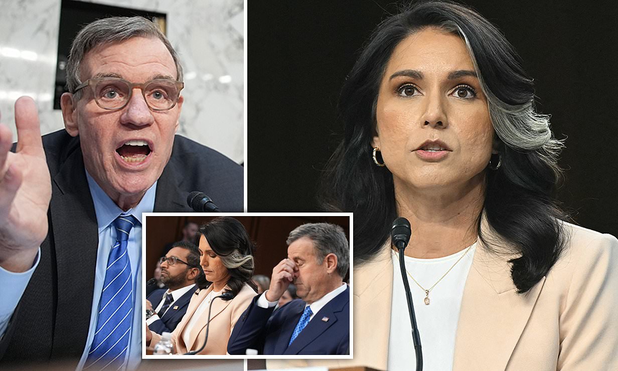 Democrat spectacularly tears into Tulsi Gabbard for war plans leak