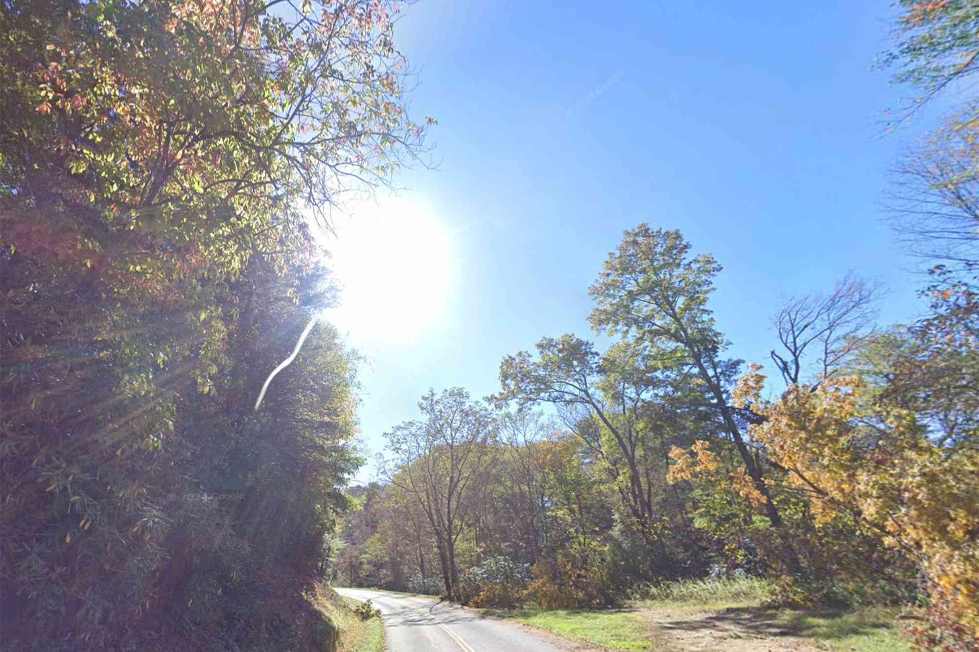 Park Service Employee and Wife Die After Their Car Hits Tree Limb