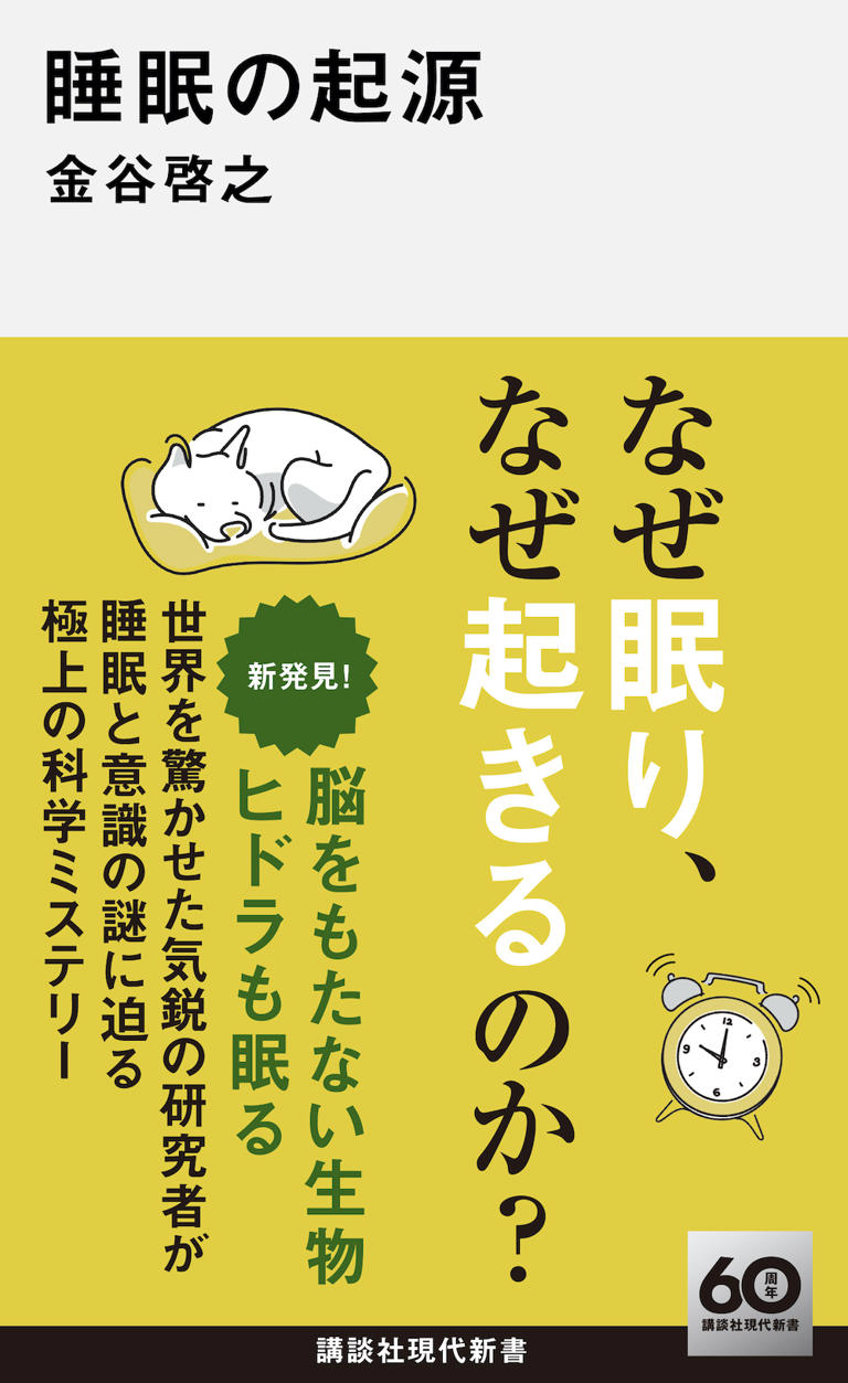 なぜ眠らないと死んでしまうのか…悪影響を受けるのは脳だけでは