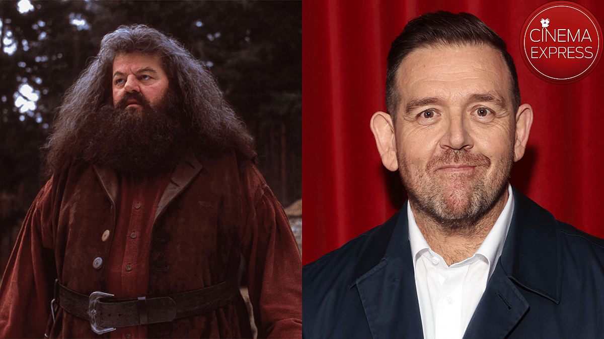 Nick Frost to play Hagrid in HBO's Harry Potter series