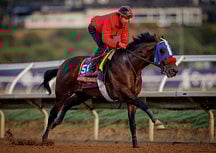 Dubai World Cup meeting: Raging Torrent ready to give trainer Doug O