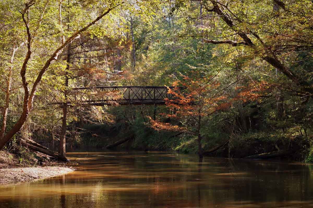 19 Best Things to do in East Texas 30