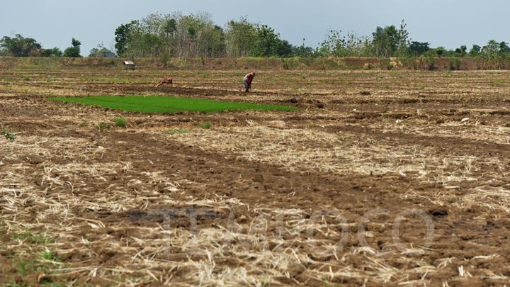 AA1BHTe6 BMKG: Musim Kering di Selatan Indonesia Dimulai, Hujan Lokal Masih Berlangsung