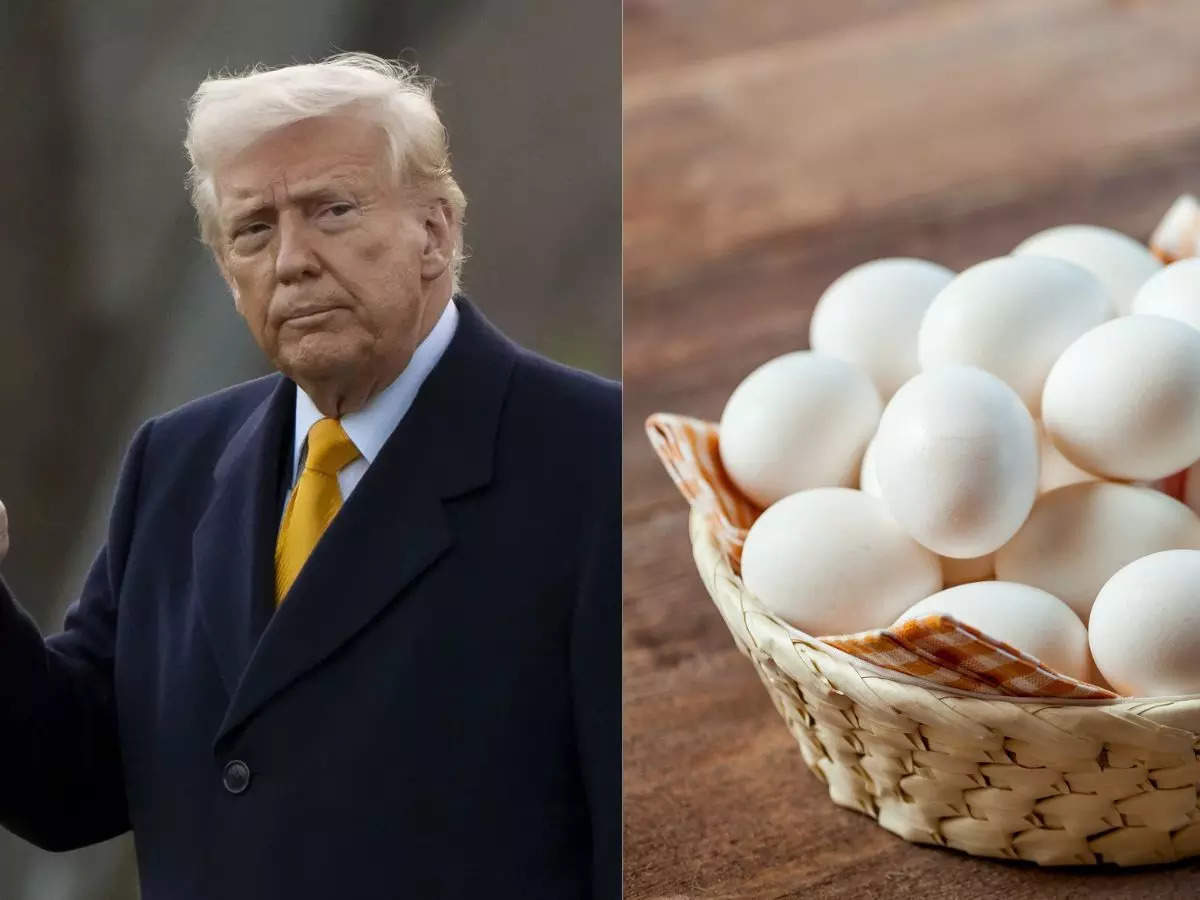 'Eggs are way down', says Trump amid historic high prices. Netizens say