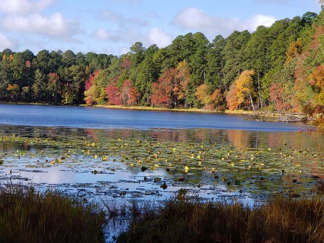 19 Best Things to do in East Texas 26