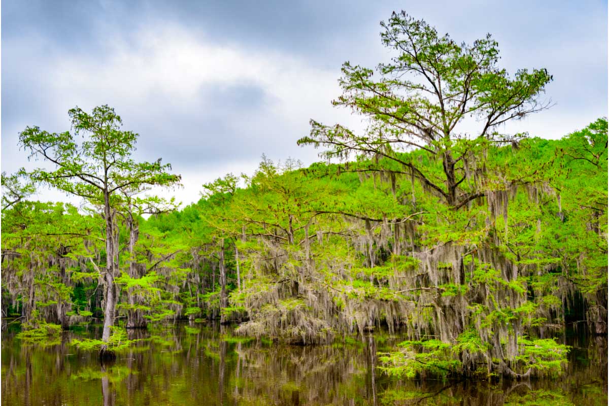 19 Best Things to do in East Texas 24