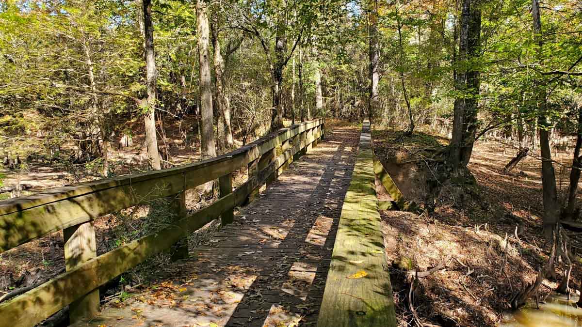 19 Best Things to do in East Texas 41