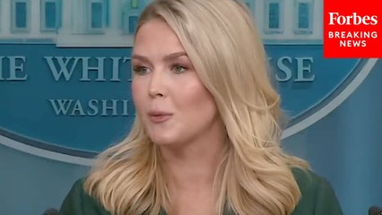 Karoline Leavitt Defends Trump's Executive Order On Election Integrity