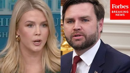 Reporter Asks Karoline Leavitt For Comment On JD Vance's Comments In