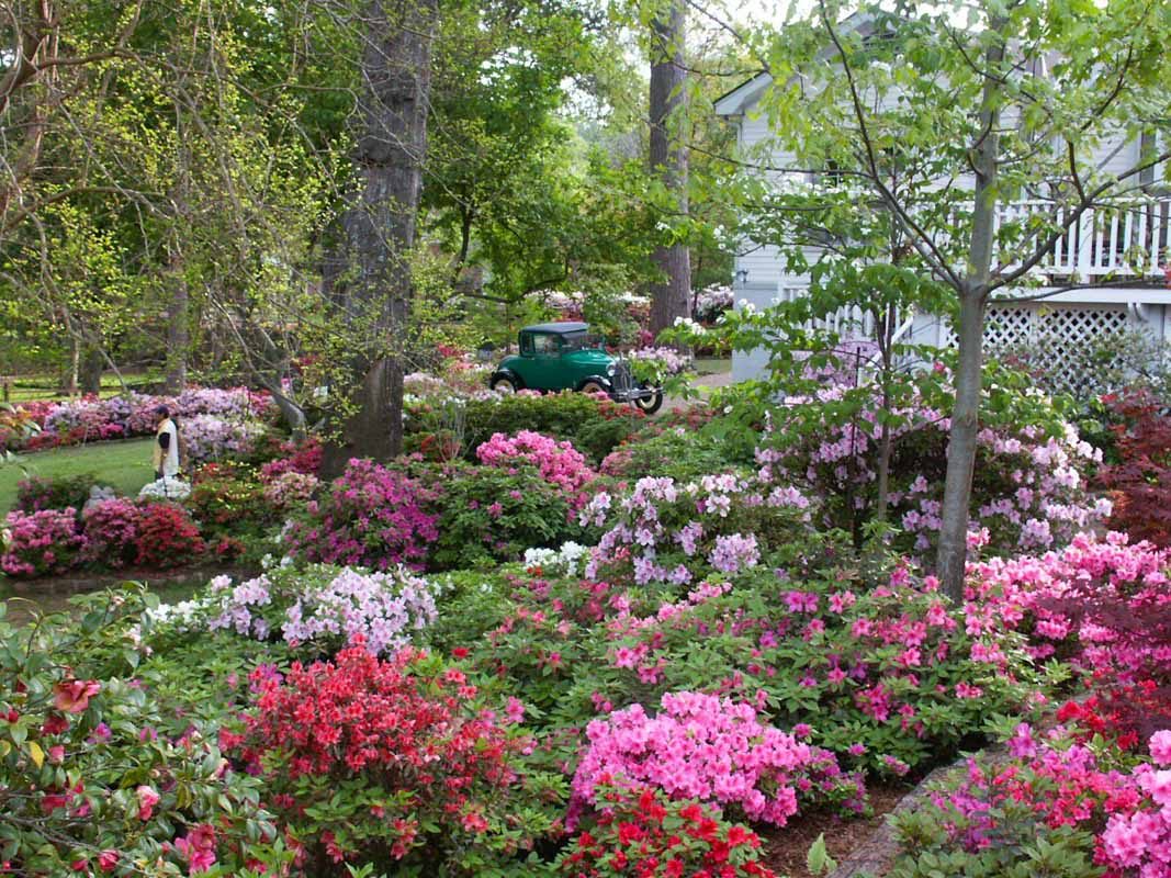 19 Best Things to do in East Texas 32