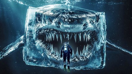 Sea Creatures You’ll Wish You Never Saw