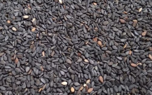 4 loại hạt giàu estrogen giúp phụ nữ trẻ lâu, thon gọn