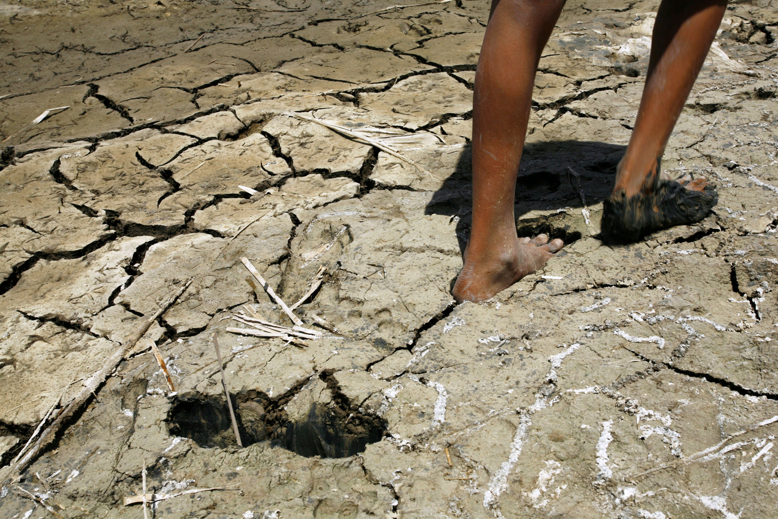 De toekomst van de mensheid: overleven we onze eigen uitsterving?