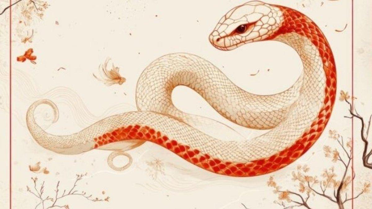 Shio Naga (1965, 1977, 1989, 2001, 2013) Shio Naga (1965, 1977, 1989, 2001, 2013)