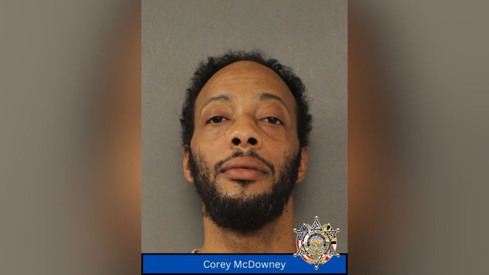 Maryland man arrested after fatally stabbing housemate's dog seven times