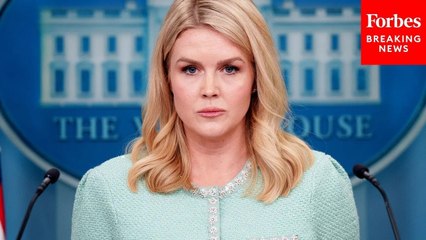 Karoline Leavitt Claims: 'The President Feels The Same Today As He Did