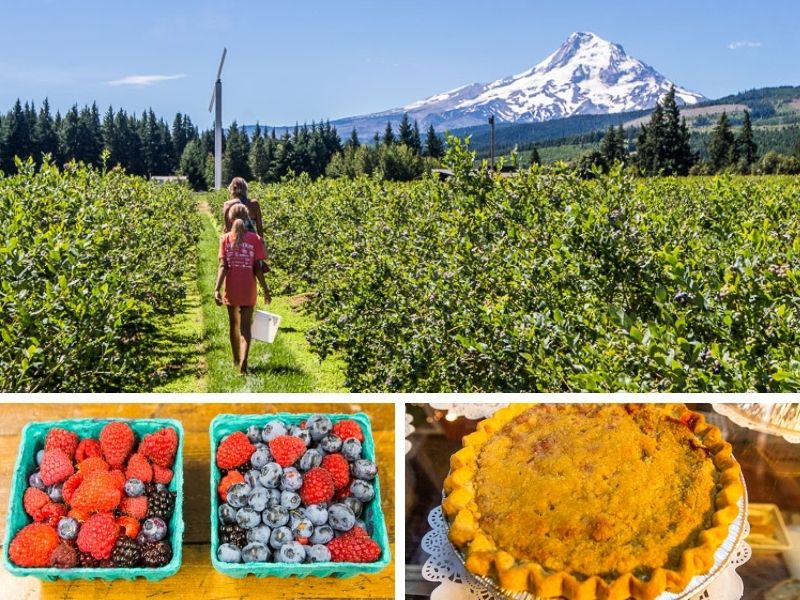 The Ultimate Pacific Northwest - AA1BMns5.img