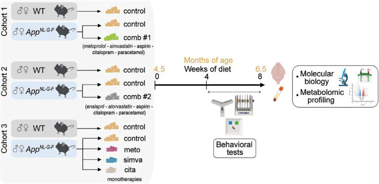 Common drug combinations affect Alzheimer's Disease pathology ...