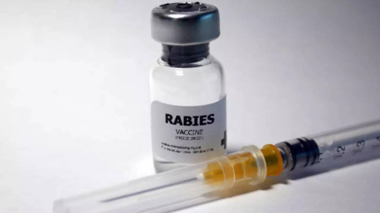 Patient Dies After Contracting Rabies Through a Transplanted Organ