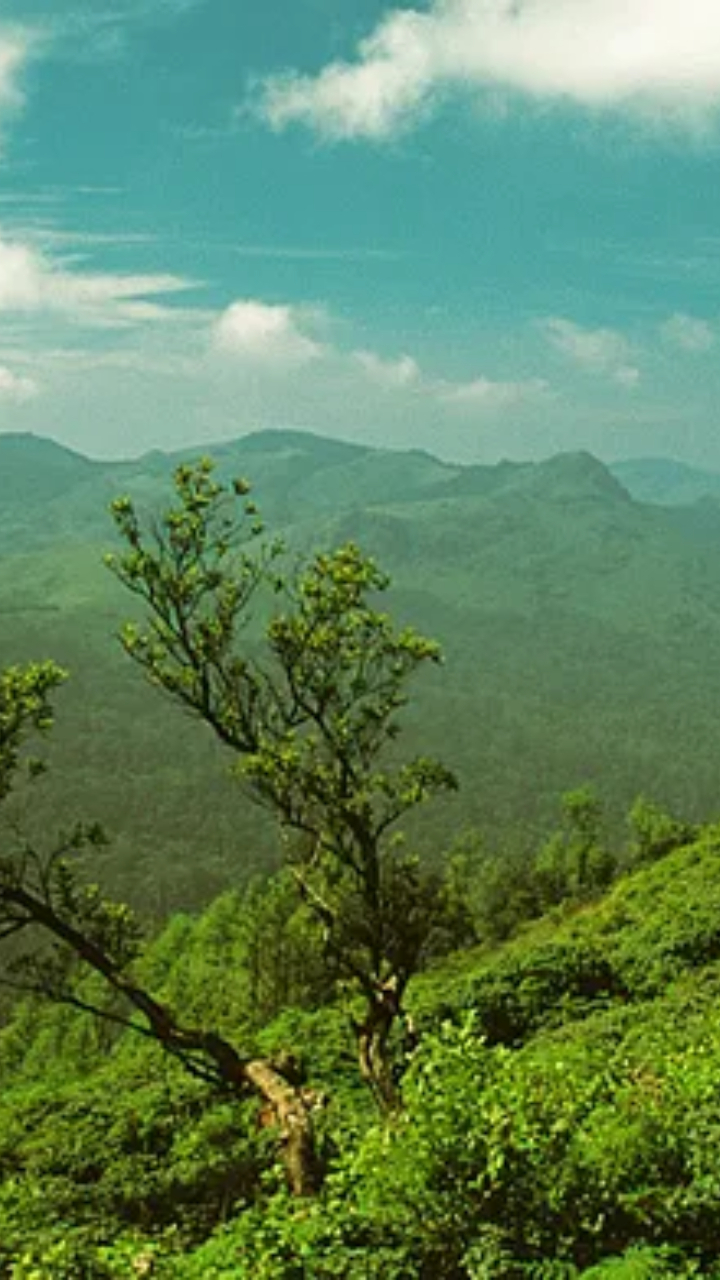 cheap-places-to-visit-near-hyderabad-in-march-2025