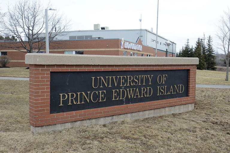 COMMENTARY Is it time to reexamine autonomy for universities?